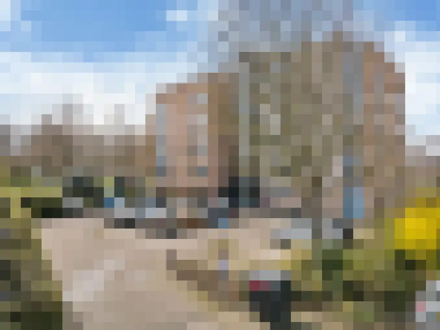 Coebelweg 249 Leiden thumbnail 34