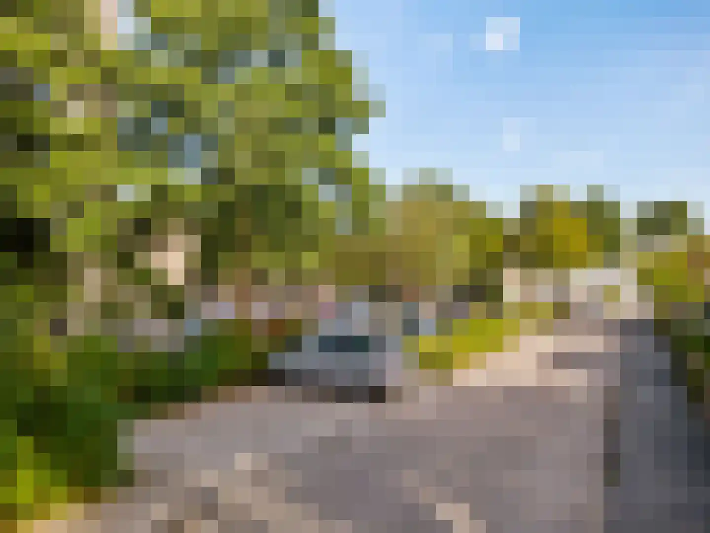 Coebelweg 31 Leiden thumbnail 26