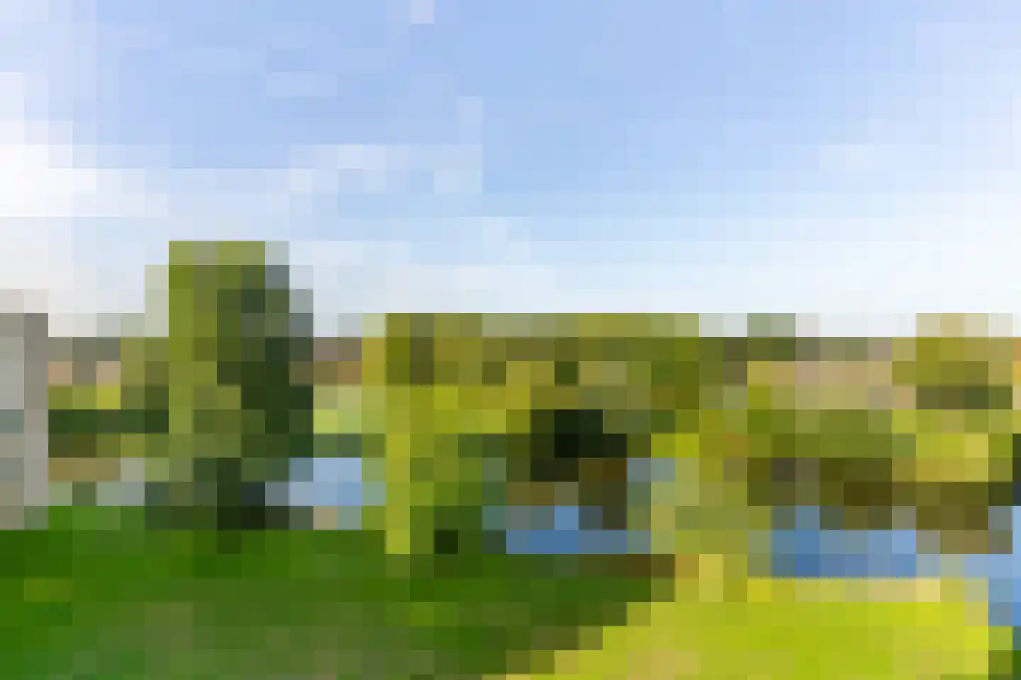 Coebelweg 31 Leiden thumbnail 29