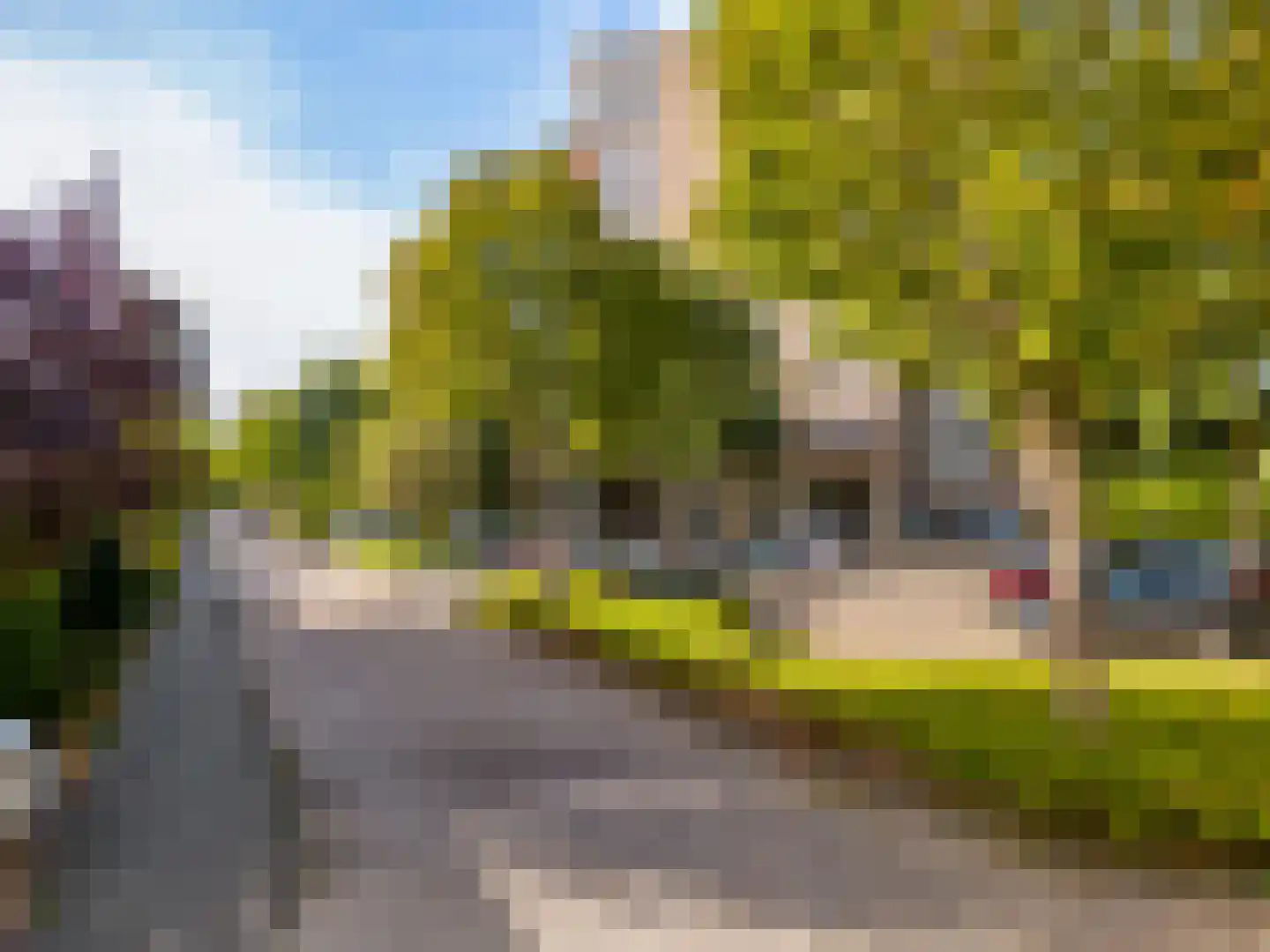 Coebelweg 31 Leiden thumbnail 5