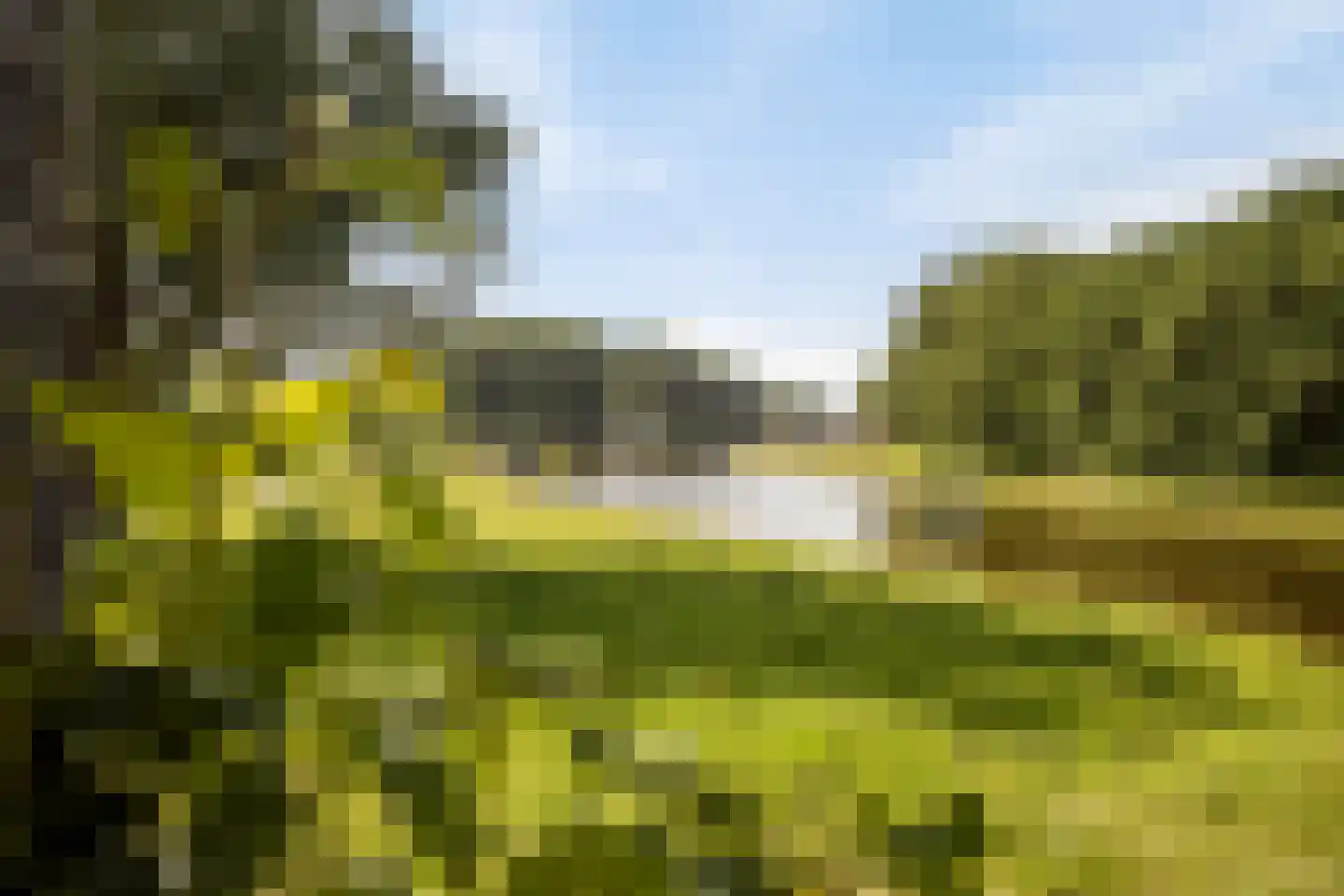 Coebelweg 41 Leiden thumbnail 23