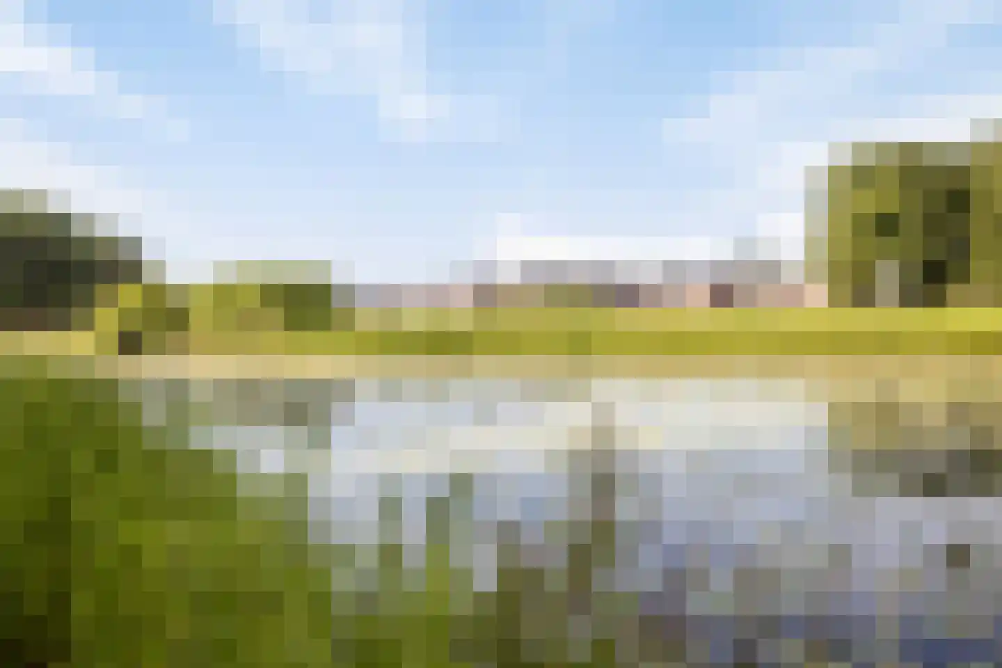 Coebelweg 41 Leiden thumbnail 24