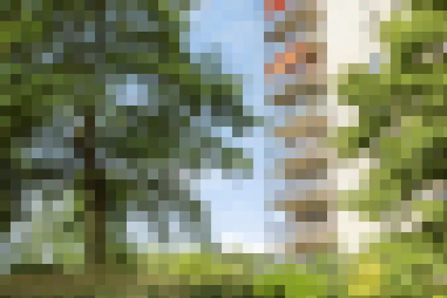 Coebelweg 41 Leiden thumbnail 27