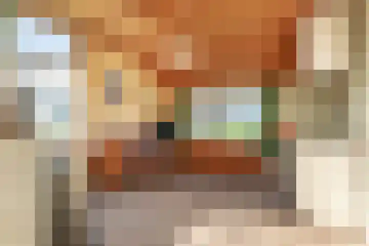 Coehoorn 2 Orvelte thumbnail 18