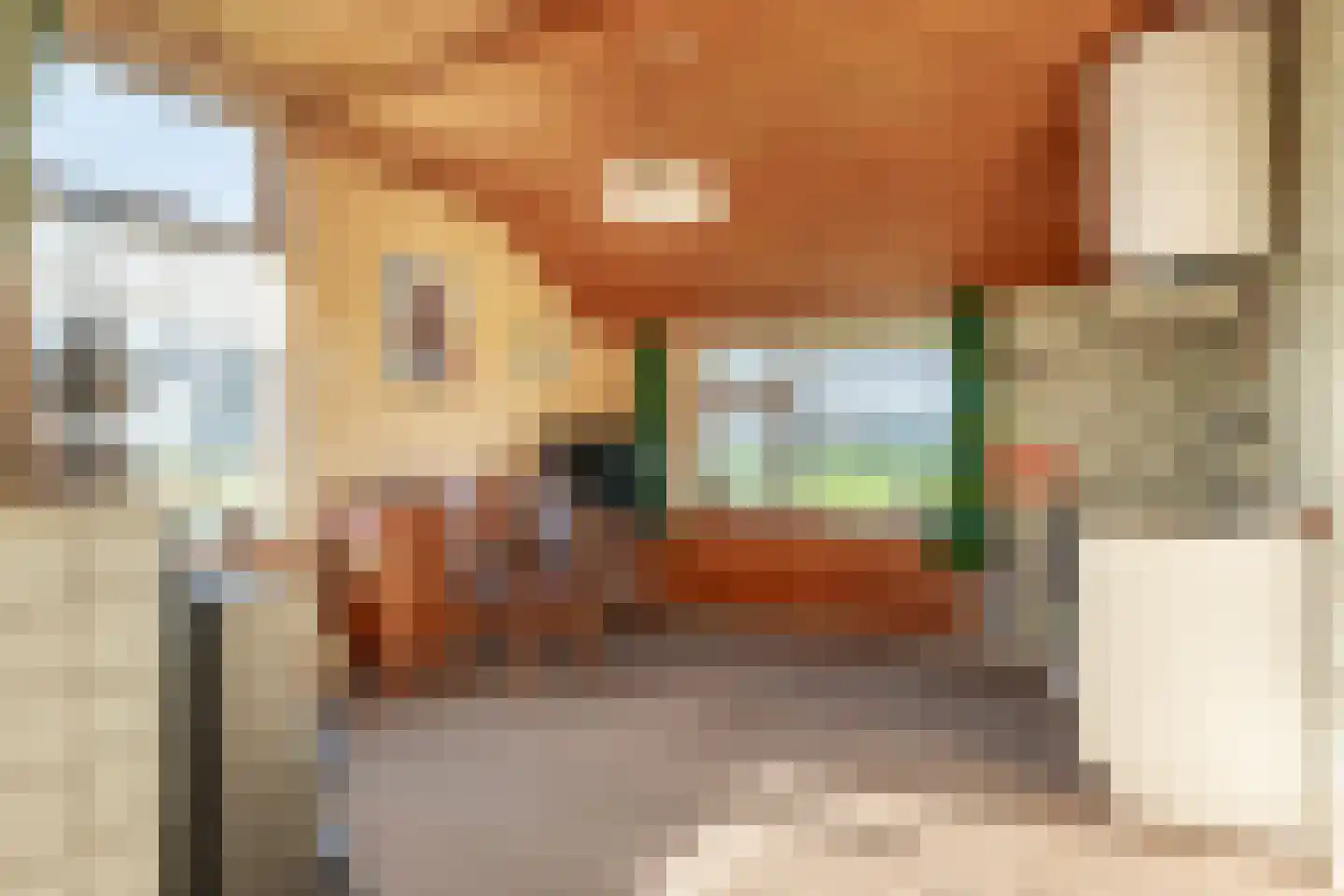 Coehoorn 2 Orvelte thumbnail 18