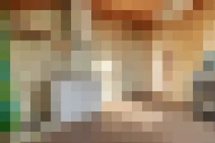 Coehoorn 2 Orvelte thumbnail 19