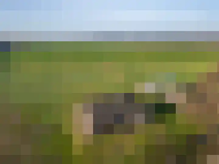 Coehoorn 2 Orvelte thumbnail 22