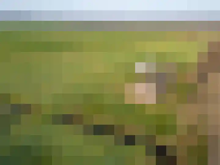 Coehoorn 2 Orvelte thumbnail 23