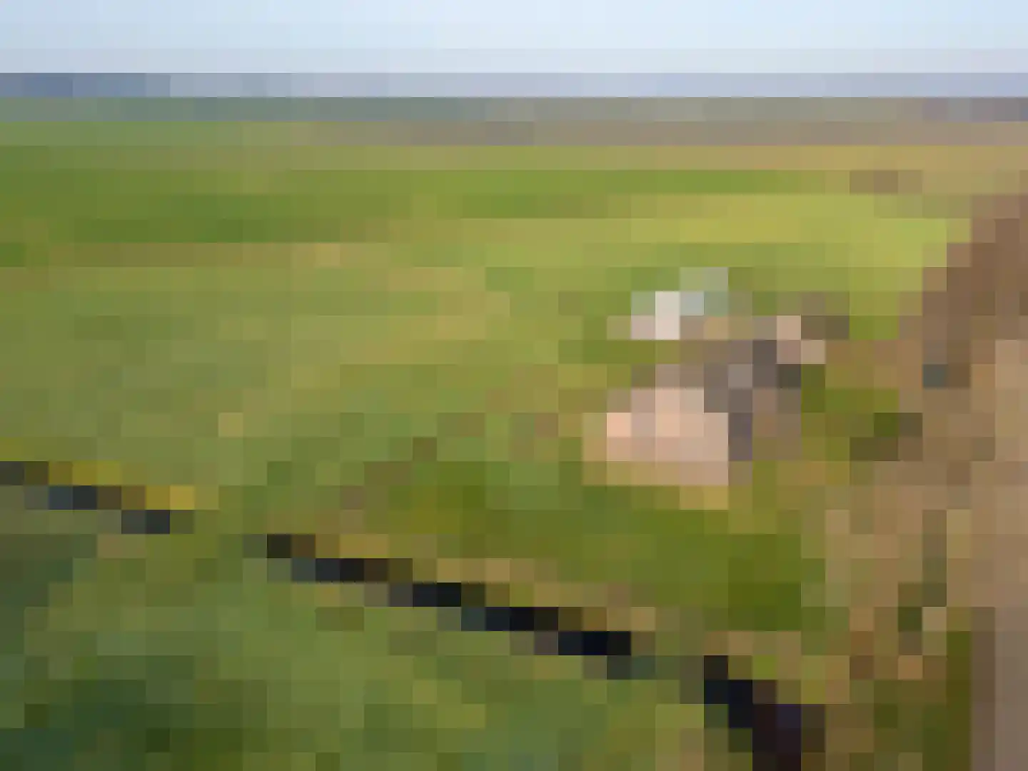 Coehoorn 2 Orvelte thumbnail 23