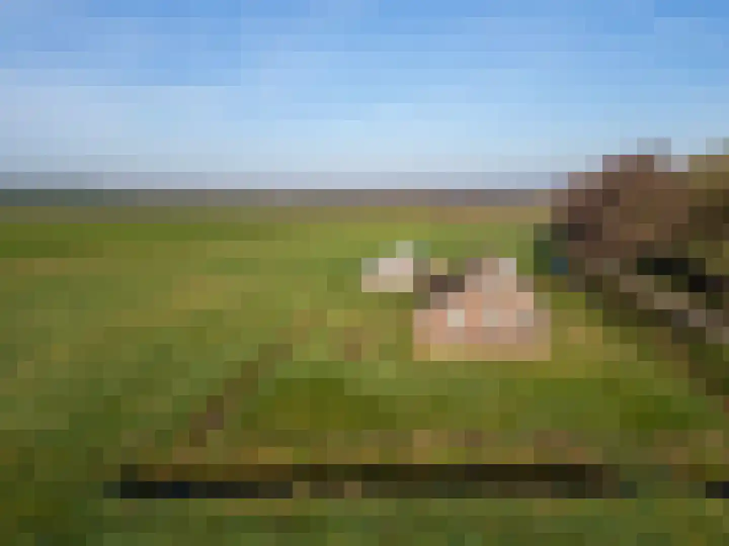 Coehoorn 2 Orvelte thumbnail 24