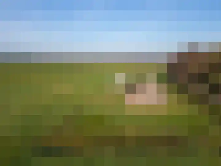 Coehoorn 2 Orvelte thumbnail 24