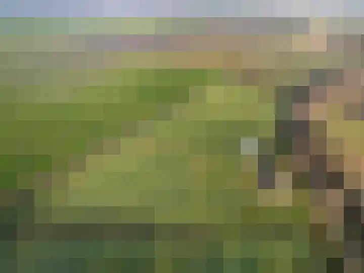 Coehoorn 2 Orvelte thumbnail 26