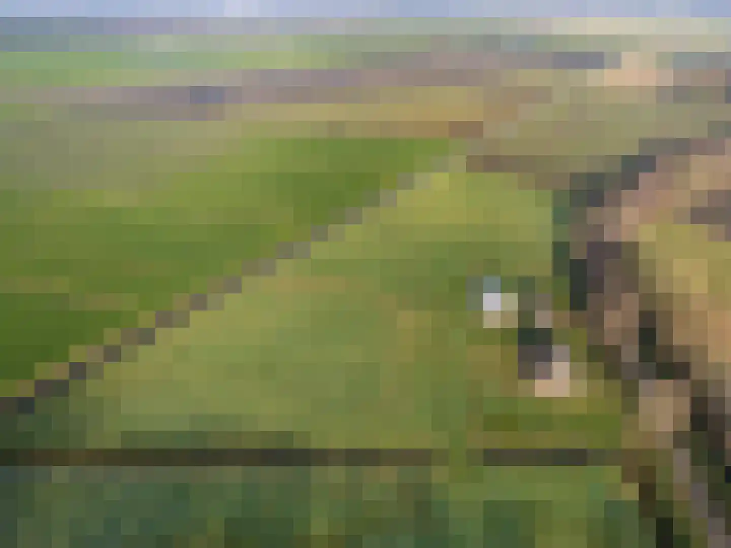 Coehoorn 2 Orvelte thumbnail 26