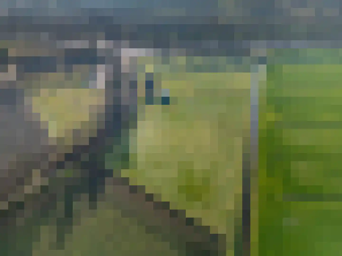 Coehoorn 2 Orvelte thumbnail 5