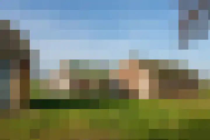Coehoorn 2 Orvelte thumbnail 8