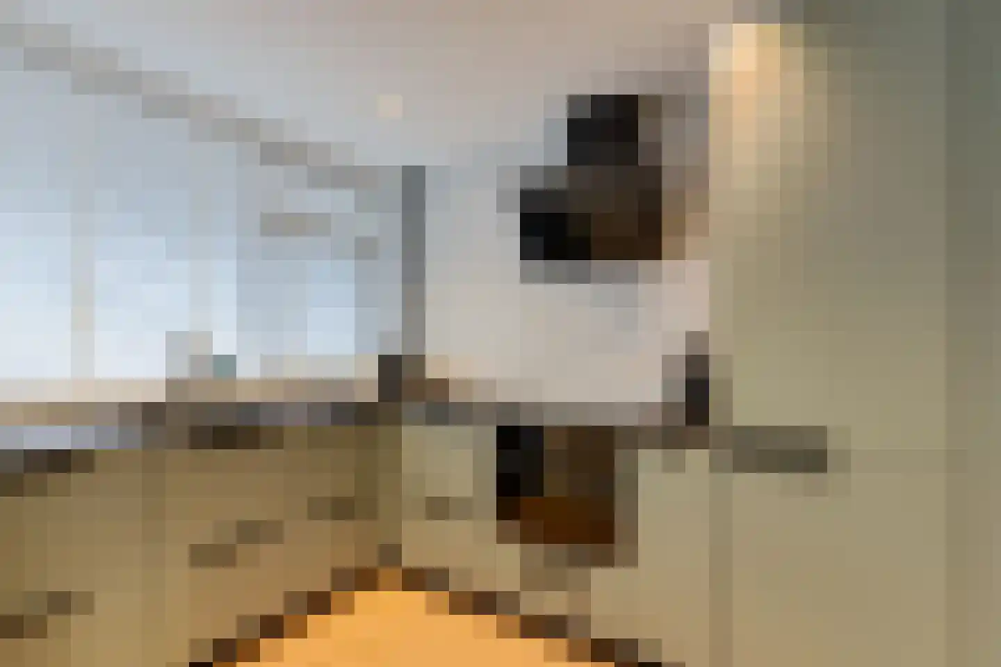 Coehoorn van Scheltingaweg 14 Heerenveen thumbnail 11
