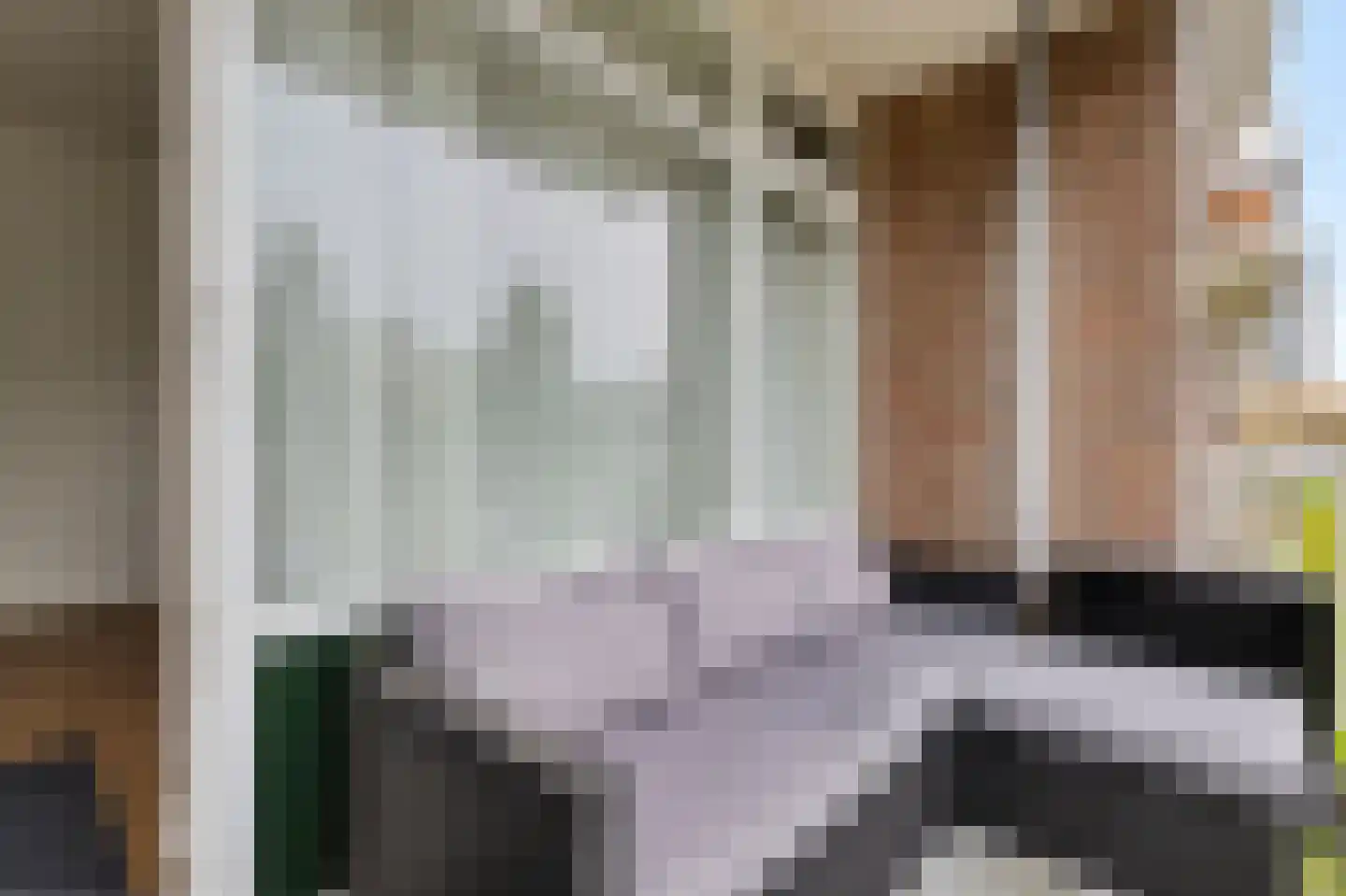 Coehoorn van Scheltingaweg 14 Heerenveen thumbnail 30