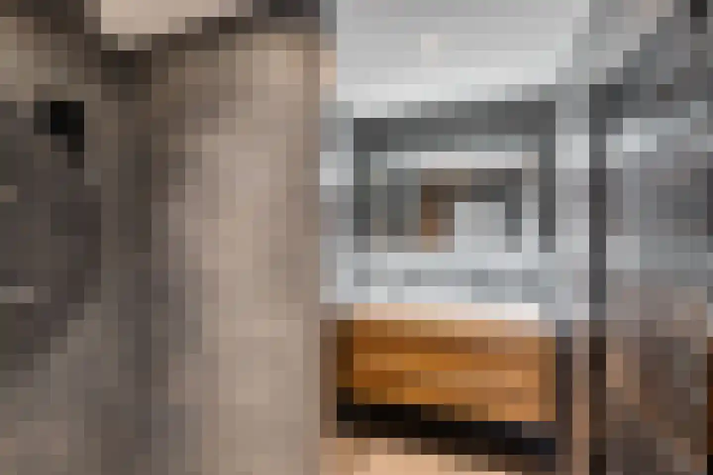 Coehoorn van Scheltingaweg 14 Heerenveen thumbnail 33