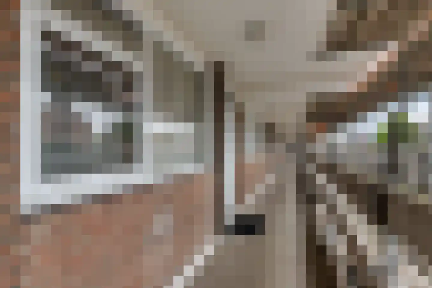 Coehoorn van Scheltingaweg 14 Heerenveen thumbnail 8