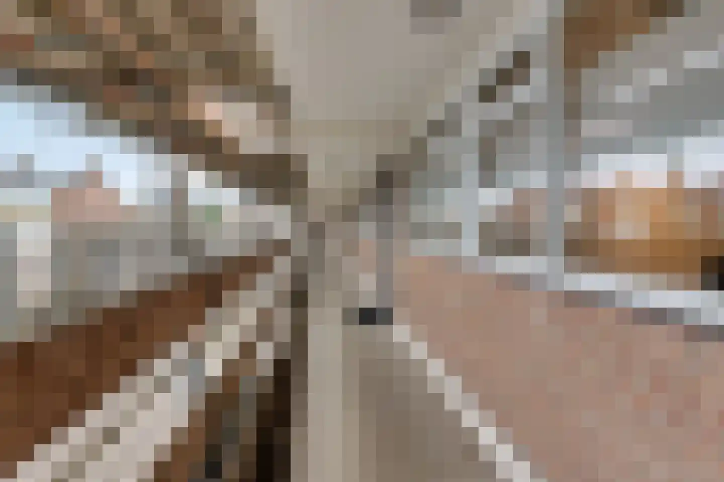 Coehoorn van Scheltingaweg 14 Heerenveen thumbnail 9