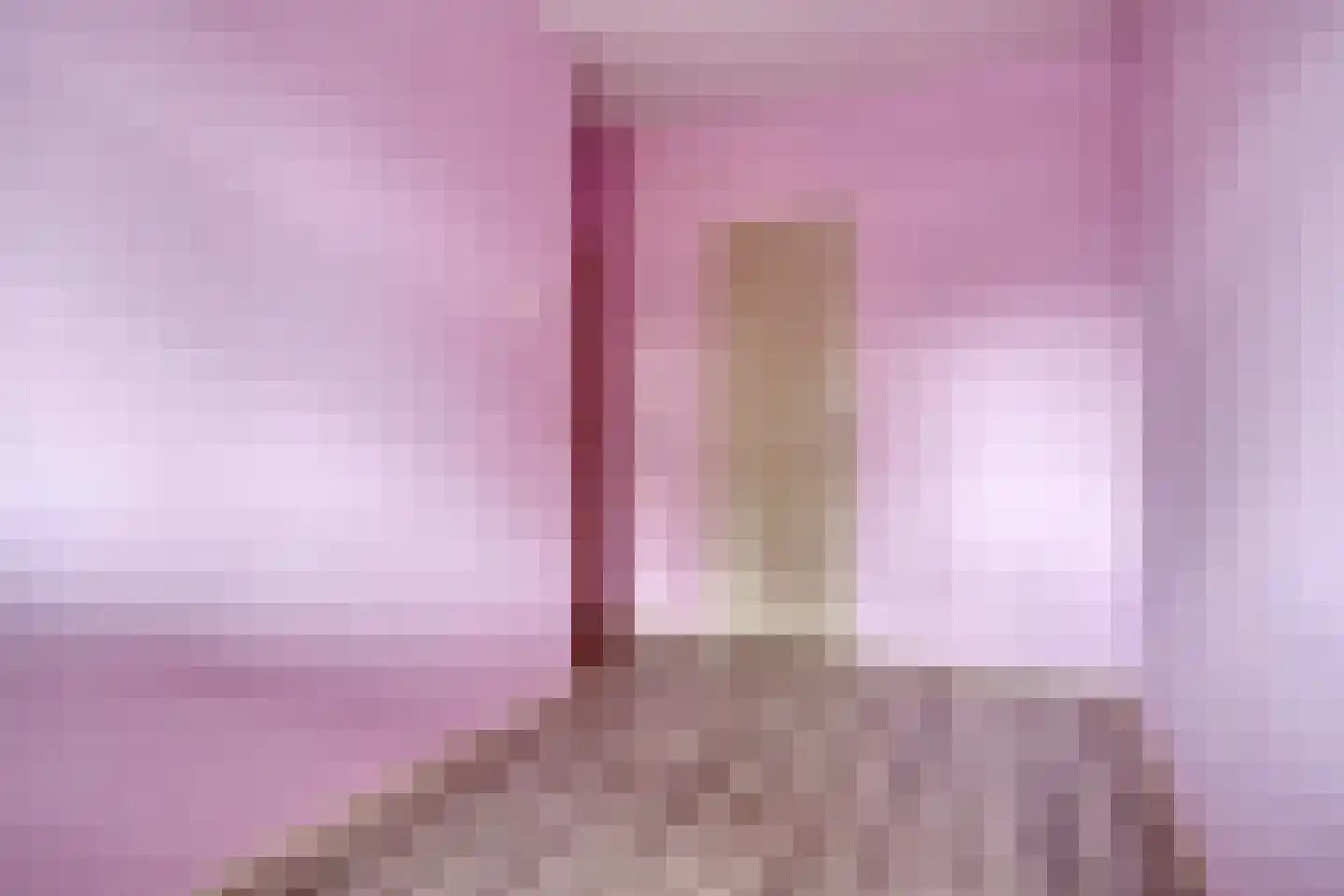 Coehoorn van Scheltingaweg 24 Heerenveen thumbnail 21
