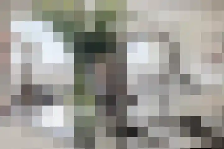 Coehoorn van Scheltingaweg 3 G Heerenveen thumbnail 23