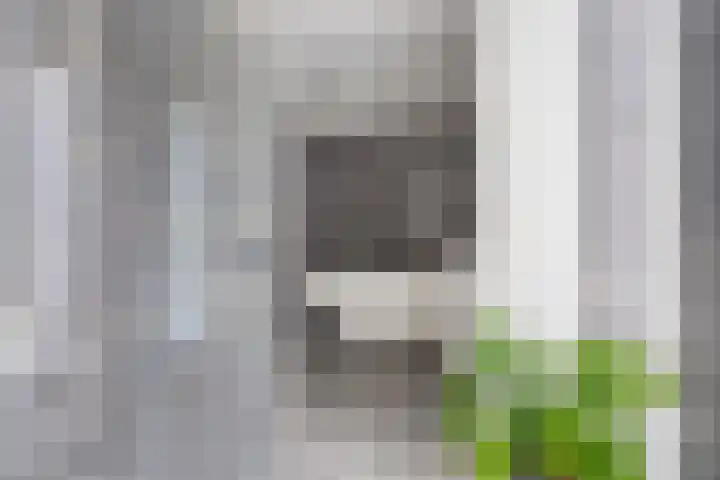 Coehoorn van Scheltingaweg 3 G Heerenveen thumbnail 31