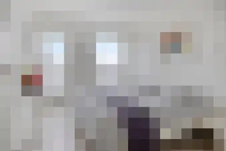 Coehoorn van Scheltingaweg 3 G Heerenveen thumbnail 35