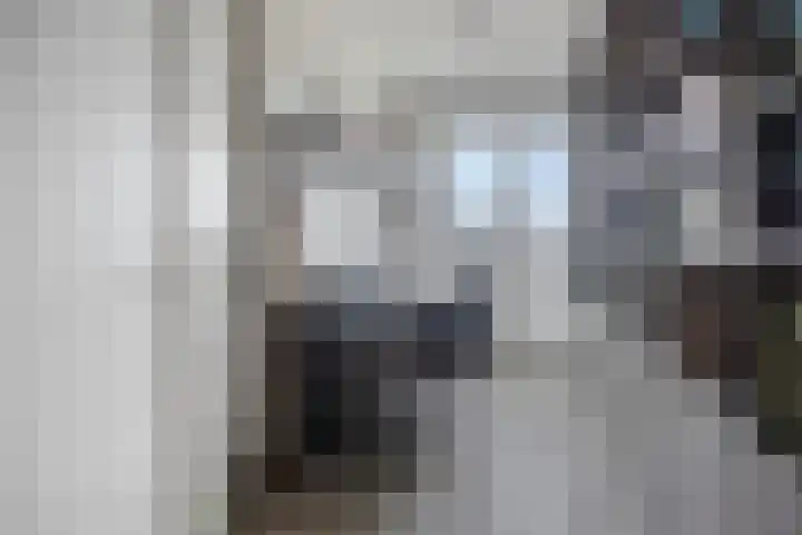 Coehoorn van Scheltingaweg 3 G Heerenveen thumbnail 36