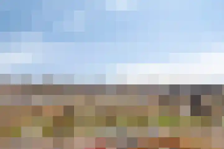 Coehoorn van Scheltingaweg 3 G Heerenveen thumbnail 38