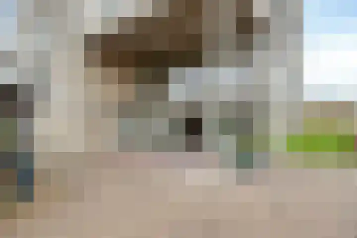 Coehoorn van Scheltingaweg 3 G Heerenveen thumbnail 7