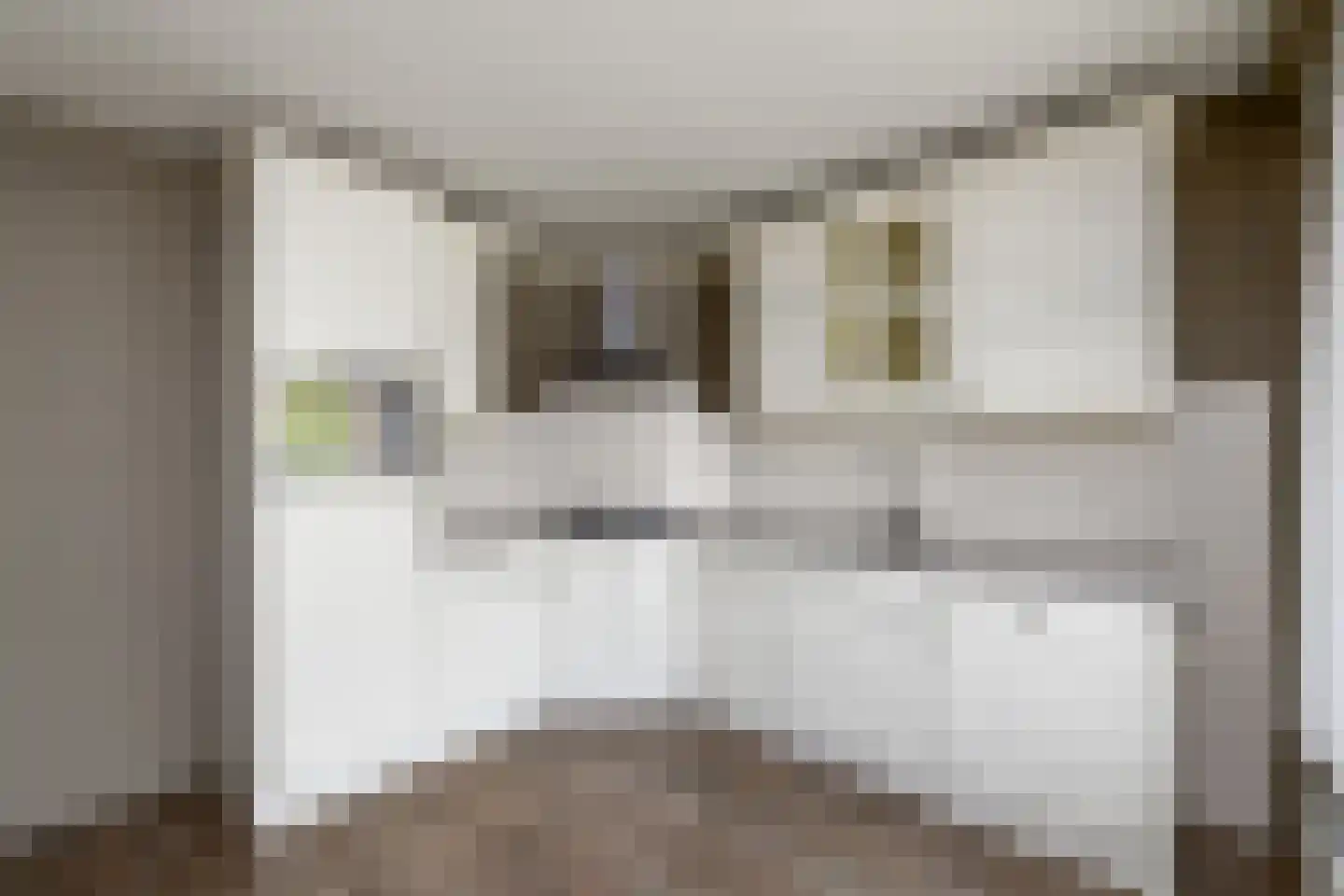 Coehoorn van Scheltingaweg 30 Heerenveen thumbnail 6