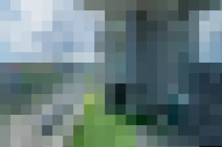 Coehoorn van Scheltingaweg 52 Heerenveen thumbnail 5