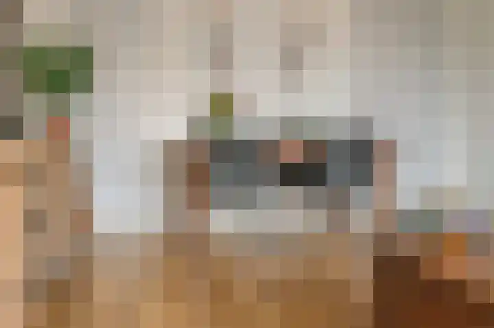 Coehoorn van Scheltingaweg 6 Heerenveen thumbnail 17