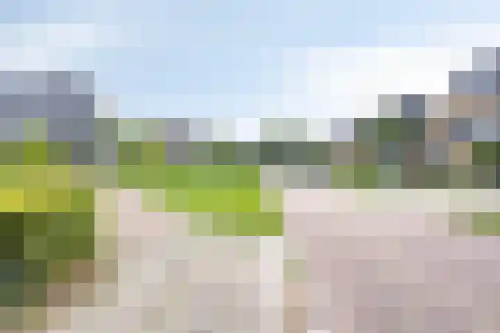 Coehoorn van Scheltingaweg 80 Heerenveen thumbnail 30