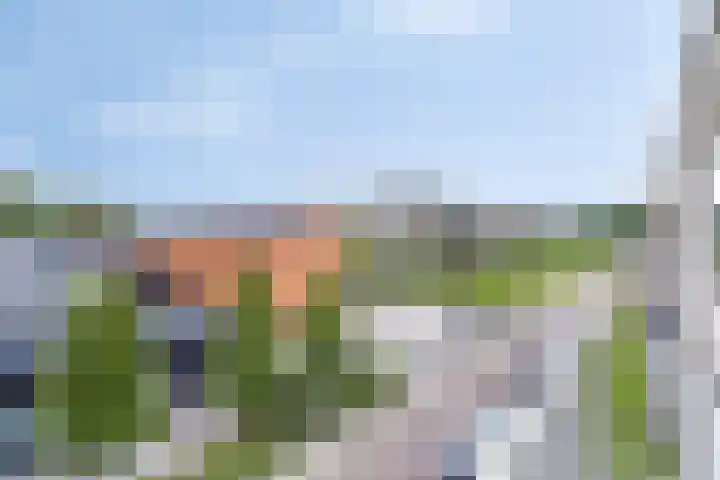 Coehoorn van Scheltingaweg 80 Heerenveen thumbnail 32