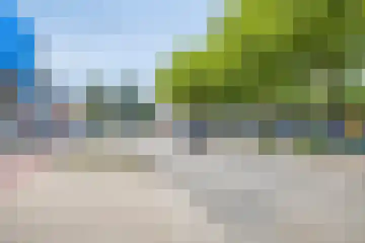 Coehoorn van Scheltingaweg 80 Heerenveen thumbnail 34