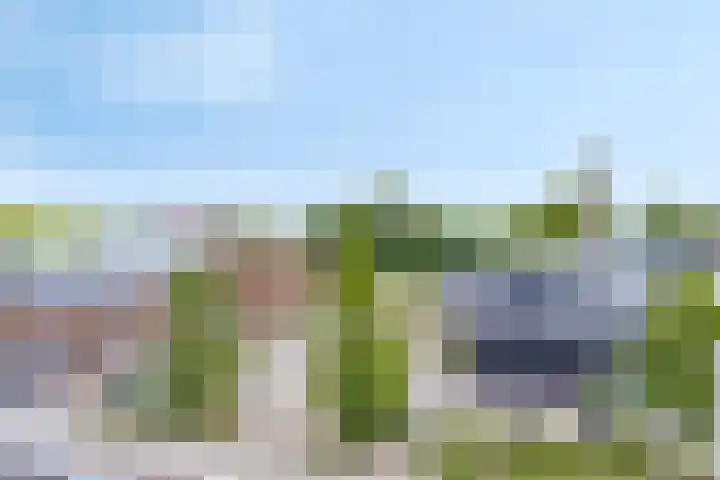 Coehoorn van Scheltingaweg 80 Heerenveen thumbnail 4