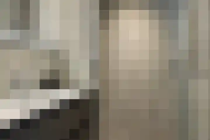 Coehoorn van Scheltingaweg 86 Heerenveen thumbnail 14