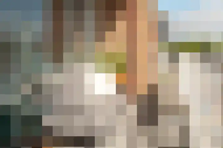 Coehoorn van Scheltingaweg 86 Heerenveen thumbnail 19