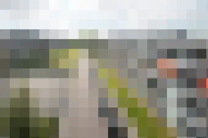 Coehoorn van Scheltingaweg 86 Heerenveen thumbnail 23