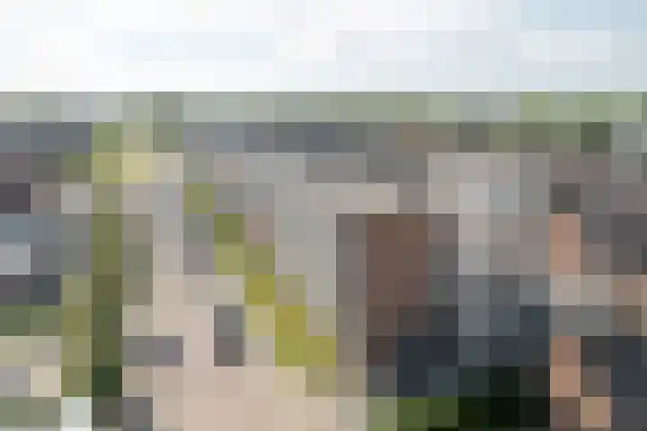 Coehoorn van Scheltingaweg 86 Heerenveen thumbnail 26