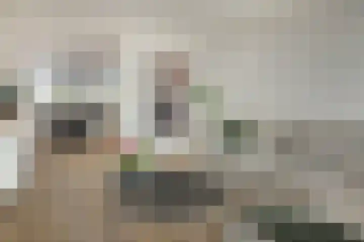 Coehoorn van Scheltingaweg 86 Heerenveen thumbnail 4