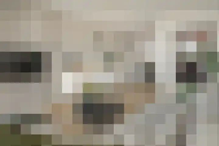 Coehoorn van Scheltingaweg 86 Heerenveen thumbnail 5