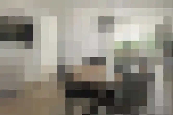 Coehoorn van Scheltingaweg 86 Heerenveen thumbnail 8