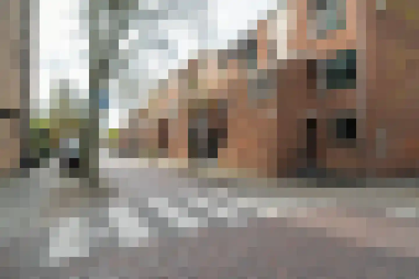 Coehoornsingel 11 Groningen