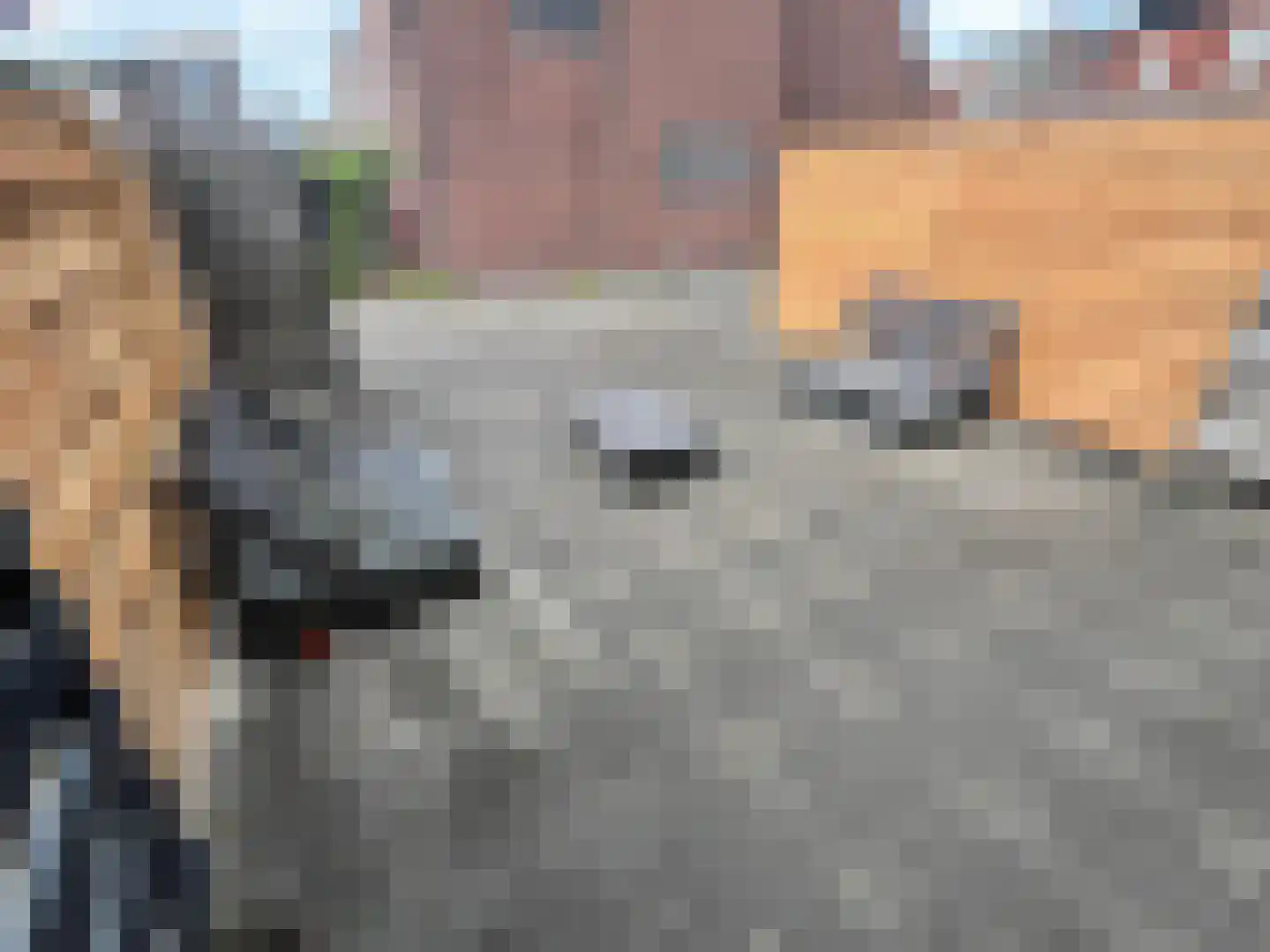Coehoornsingel 11 Groningen thumbnail 27