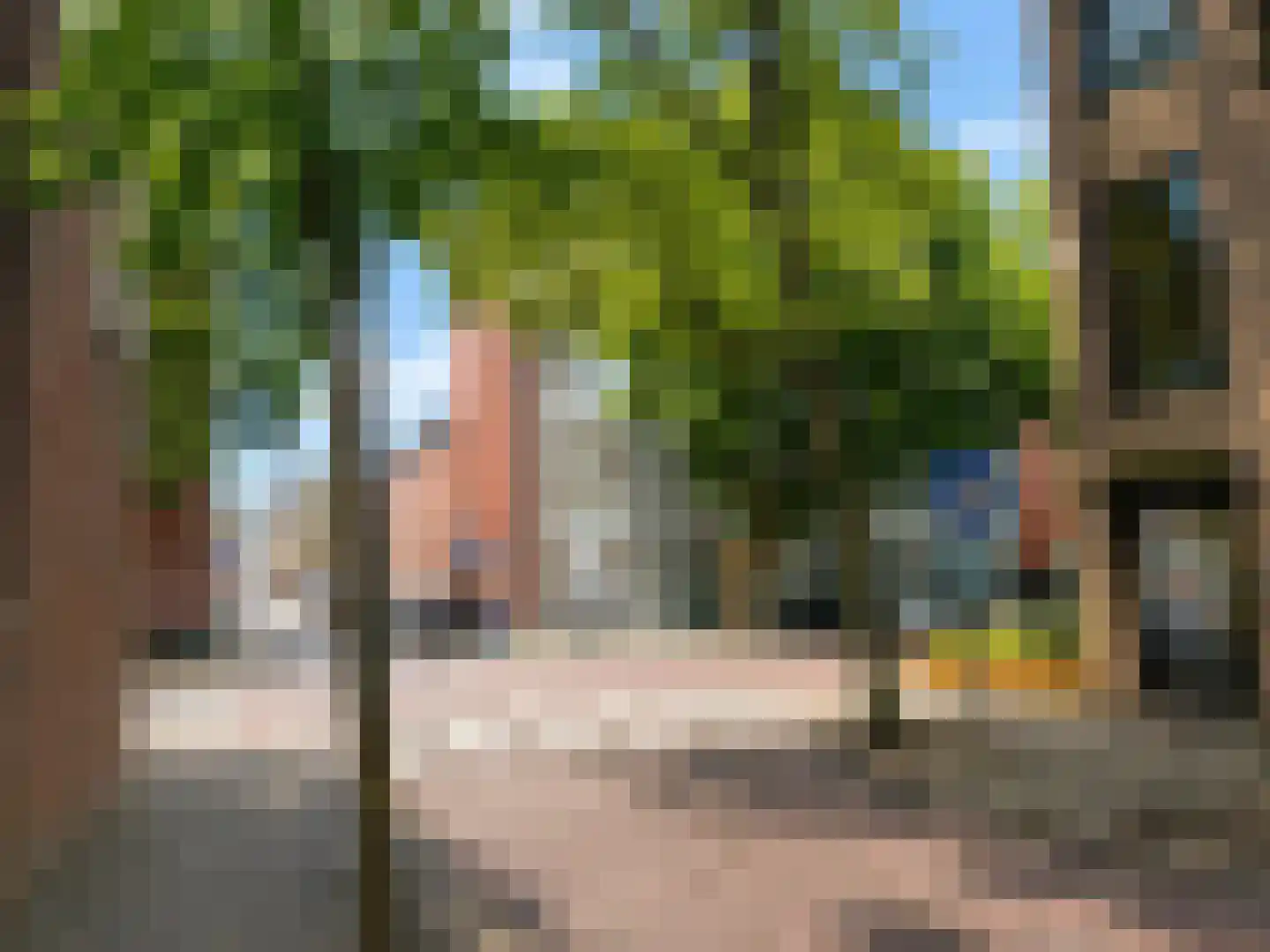 Coehoornsingel 11 Groningen thumbnail 7