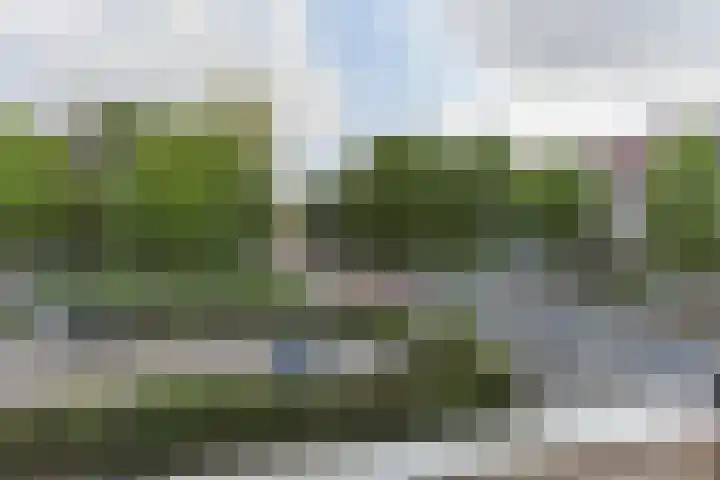 Coehoornsingel 115 Groningen thumbnail 21