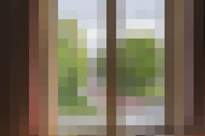 Coehoornsingel 115 Groningen thumbnail 31
